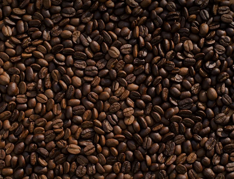 Perkebunan Kopi Arabica Pelaga